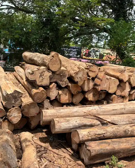 raw wood