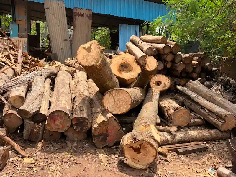 raw wood